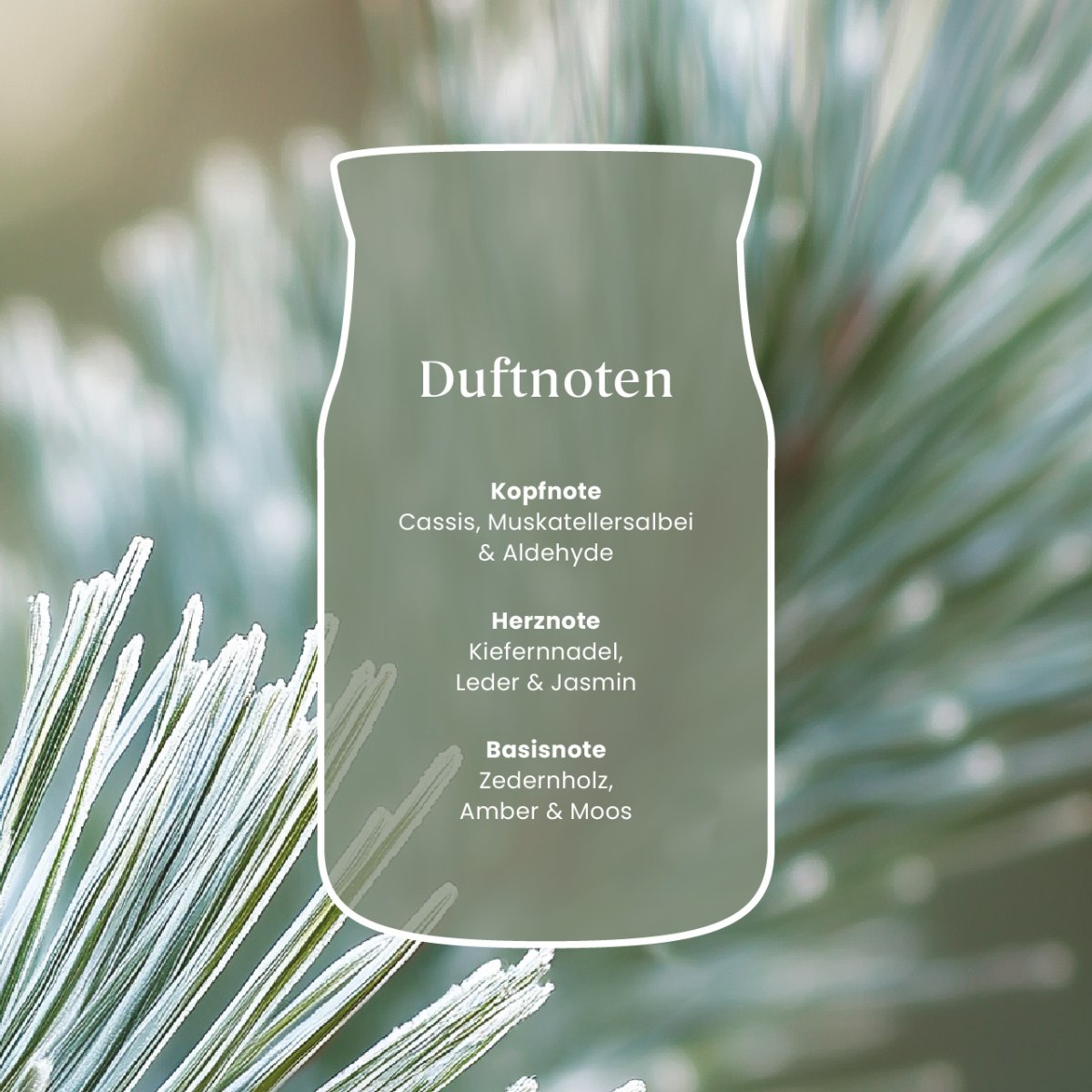 Silver Sage & Pine Signature Glas, mittel 368g – Bild 5