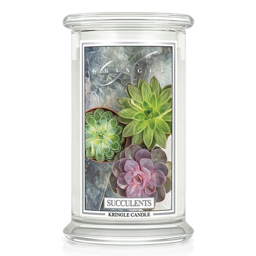 Succulents 623g – Bild 2